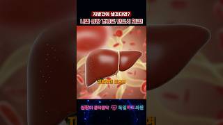 지방간이 생겼을 때 심장건강 체크 필수인 이유