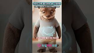 EP13 간은 조용히 손상됩니다! 간경변증과 위험한 합병증