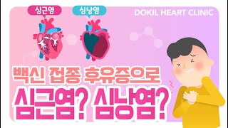 화이자&모더나 백신 맞고 심근염? 심낭염? [독일하트의원]