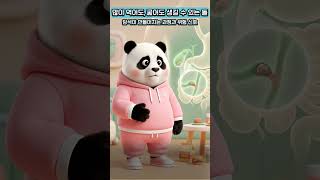 EP14 담석이 만들어지는 과정과 위험 신호!