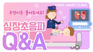 심장초음파의 모든 것!/심장 초음파 Q&A