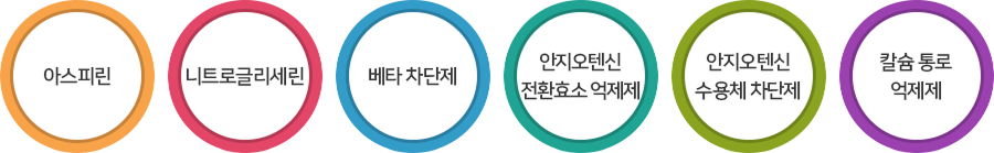 협심증 약물요법 - 아스피린, 니트로글리세린, 베타 차단제, 안지오텐신 전환효소 억제제, 안지오텐신 수용체 차단제, 칼슘 통로 억제제